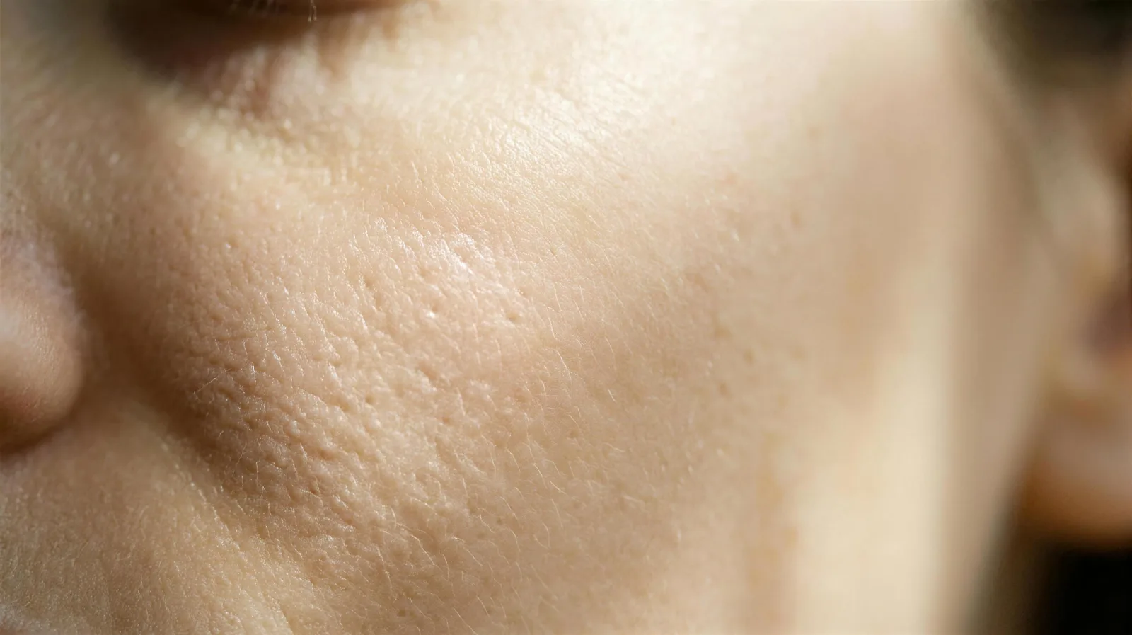 Close detail of natural skin texture in soft warm light